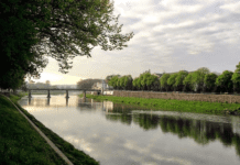 Чарівна липова алея Ужгорода