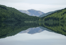 Вільшанське водосховище