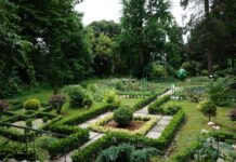 В Ужгороді працює унікальний ботанічний сад