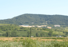 Історія Мужіївського золоторудного родовища