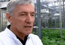 Відомий закарпатський біолог Юрій Глеба