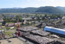 Спирт, смола та ацетон: як лісокомбінат на Закарпатті став найбільшим виробником вугілля у Європі