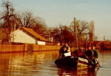 Без жертв не обійшлося: які наслідки були від повені на Закарпатті у 1998 році