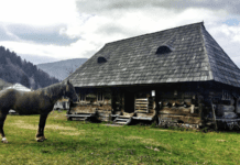 Зелений туризм на Закарпатті