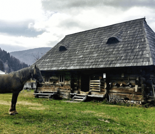 Зелений туризм на Закарпатті