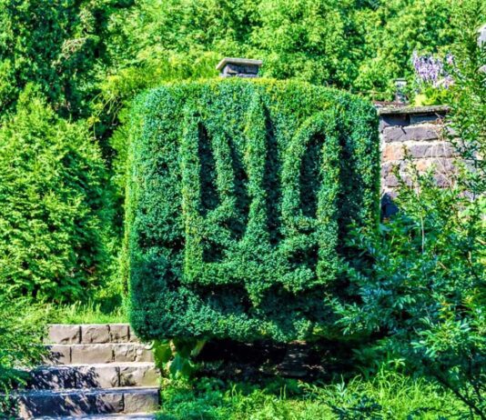 Ужгородський ботанічний сад – окраса міста