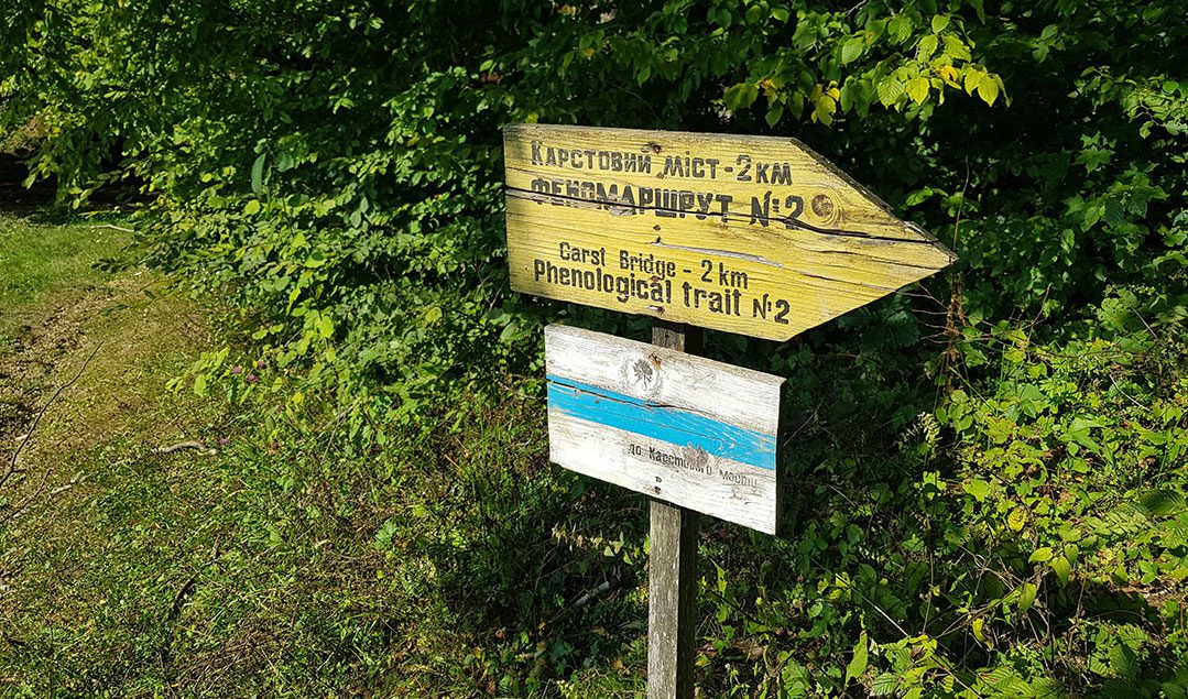 вказівник після школи