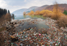 Забруднення річок Закарпаття та що можуть робити містяни для збереження екології краю