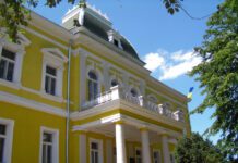 Автомобільний маршрут «Закарпатський Прованс»: замки, вино та лаванда