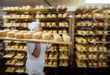 Як звичайне селище на Закарпатті перетворилося на гастрономічну туристичну родзинку