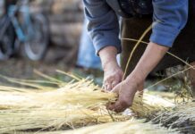 Видатний аграрій — Антонін Біров