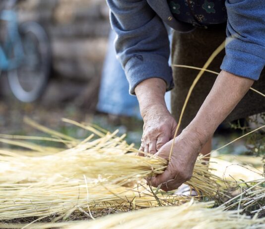 Видатний аграрій — Антонін Біров