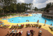 Відпочинок на Закарпатті: ТОП найкращих баз для туристів