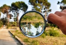 Оцінка впливу на довкілля: як підготувати якісний аналіз