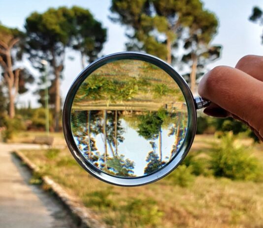 Оцінка впливу на довкілля: як підготувати якісний аналіз